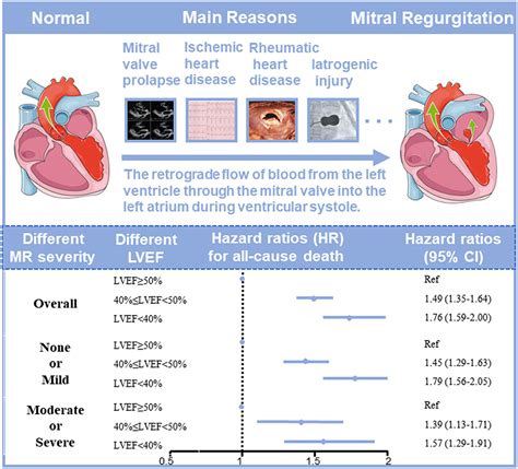 lv ejection fraction 55-60|mildly reduced lv systolic function.